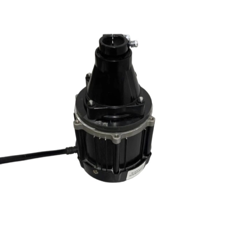 Motor Fuera de Borda Sin Escob - Fishing Boat Trailer reseña y precio